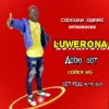 Codex UG